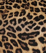 Шифон леопард крупный